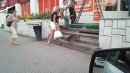 Кошка сильнее собаки 95341